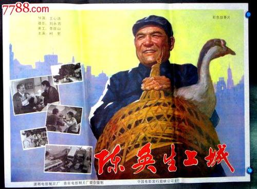 买假新布伦瑞克省ID